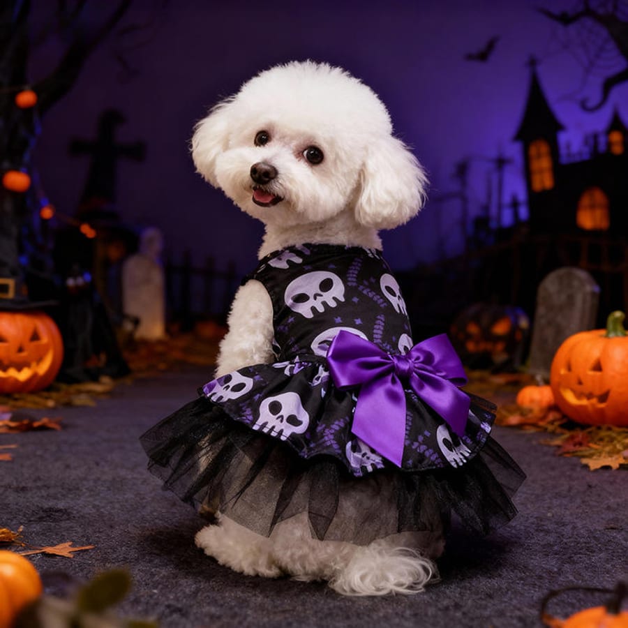 Magic Cape and Hat Pet Costume Set