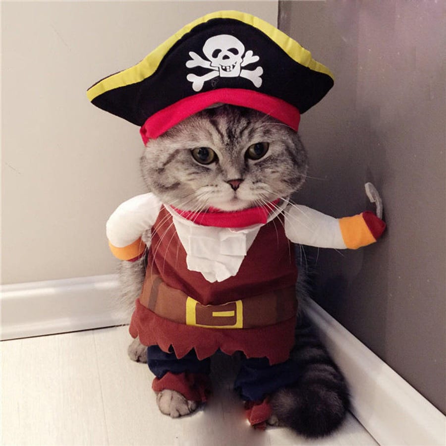 Novelty 3D Pet Costume for Small Dogs and Cats